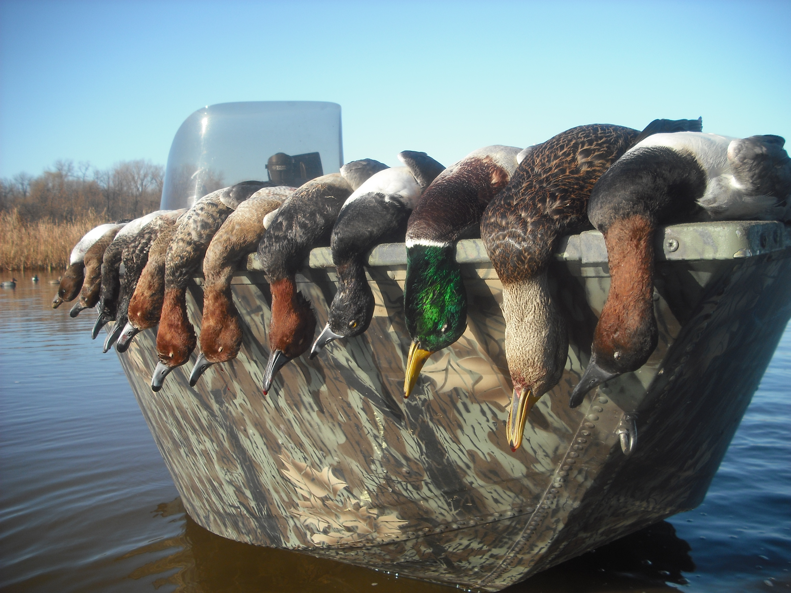 Wisconsin Duck Hunting Guide on Green Bay, Lake Michigan and Minocqua
