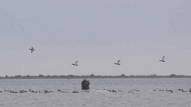 Lake Michigan Duck Hunting Jeff Van Remortel